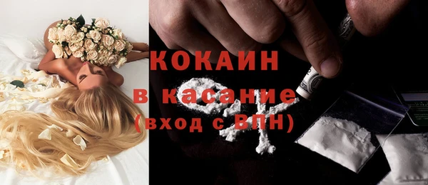 амф Алексин