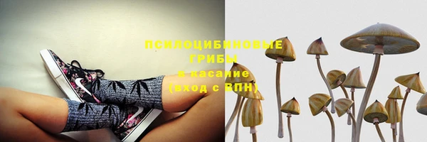 амф Алексин