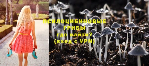 тгк Алзамай